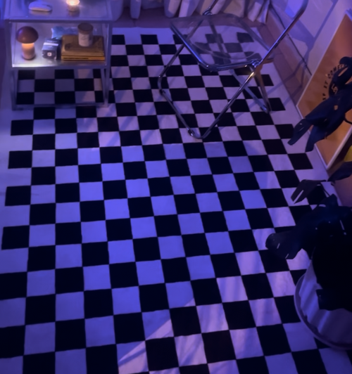 Black and White Checkered Rug - 4 by 6